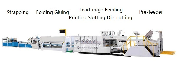 Automatic Box Folder Gluer with Pre-Fold and Bottom-Lock