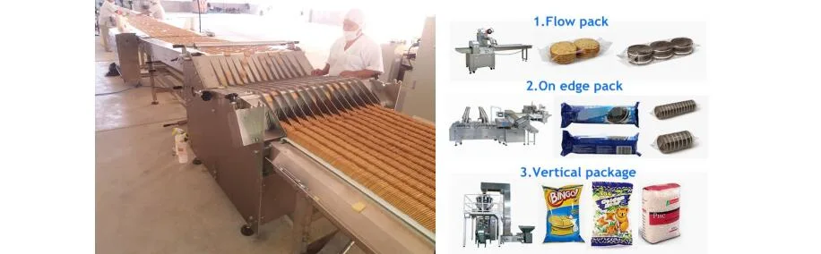 Functional Small Biscuit Making Machine/Machine Biscuit/Biscuit Cookie Machine